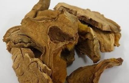 北沙参图片:北沙参图片,认识这种珍贵中药材的形态与鉴别要点