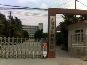 安徽审计职业学院(安徽审计职业学院录取线2025) 安徽审计职业学院(安徽审计职业学院录取线2025)