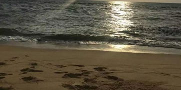 梦见危难时刻有人救我:溺水时抓住的浮木,一场关于救赎与希望的梦境 梦见危难时刻有人救我:溺水时抓住的浮木,一场关于救赎与希望的梦境