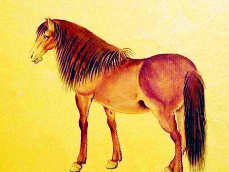 属马人离不开的两个贵人是谁：属马人离不开的两个贵人，机遇与贵人运的守护者