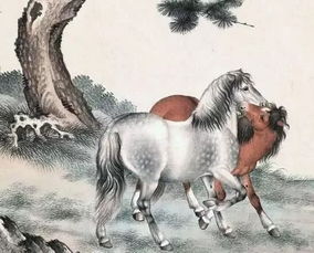 属马人离不开的两个贵人是谁：属马人离不开的两个贵人，机遇与贵人运的守护者