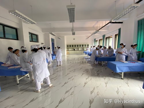 护理学校有哪些学校(湖南单招护理学校有哪些学校) 护理学校有哪些学校(湖南单招护理学校有哪些学校)