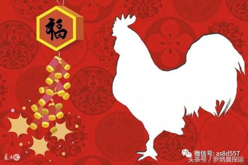 2017年是什么命:2017年生肖鸡运势全解析,破局与觉醒的转折之年 2017年是什么命:2017年生肖鸡运势全解析,破局与觉醒的转折之年