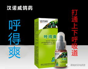 重获森林呼吸:“半亩森林”在杭发布新品,开启环境益生菌空气净化新纪元 重获森林呼吸:“半亩森林”在杭发布新品,开启环境益生菌空气净化新纪元