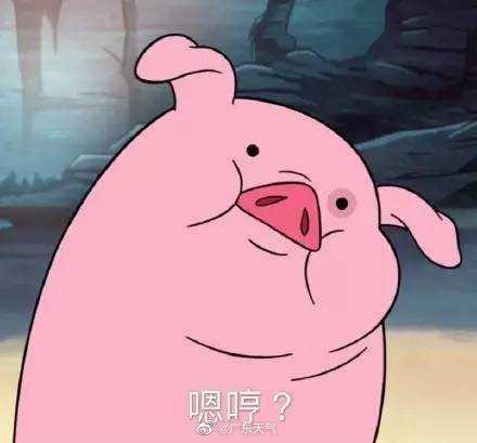 男人梦见猪是什么预兆:梦里见猪,好运还是迷途?男人梦见猪的玄机解析 男人梦见猪是什么预兆:梦里见猪,好运还是迷途?男人梦见猪的玄机解析