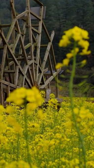 拉一木乡:秘境拉一木乡,寻迹山野,遇见遗落的时光