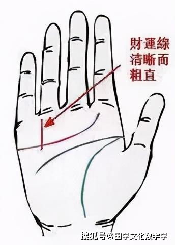 15个顶级富贵手相:15个顶级富贵手相特征揭秘,从掌纹到骨骼的财富密码 15个顶级富贵手相:15个顶级富贵手相特征揭秘,从掌纹到骨骼的财富密码