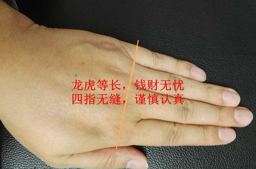 15个顶级富贵手相:15个顶级富贵手相特征揭秘,从掌纹到骨骼的财富密码 15个顶级富贵手相:15个顶级富贵手相特征揭秘,从掌纹到骨骼的财富密码