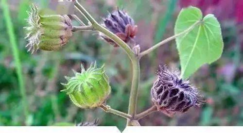 婚姻名字测试:科学揭秘婚姻名字测试,你的名字竟藏着后半生的婚姻密码?大数据分析结果令人震惊 婚姻名字测试:科学揭秘婚姻名字测试,你的名字竟藏着后半生的婚姻密码?大数据分析结果令人震惊