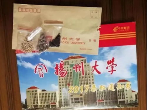 扬州大学研究生院(扬州大学研究生学费一年多少钱)