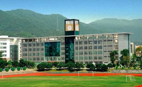 外国语学校一年学费多少（深圳外国语学校一年学费多少）