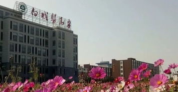 白城医学高等专科学校(白城医学高等专科学校官网) 白城医学高等专科学校(白城医学高等专科学校官网)