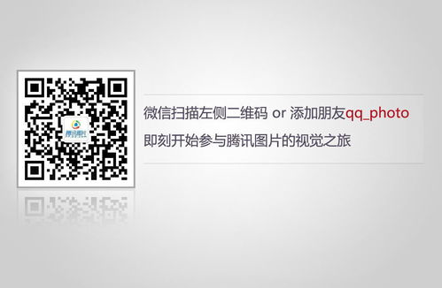 11月12日是什么日子：11月12日，被忽视的国际日与本土记忆的双向奔赴