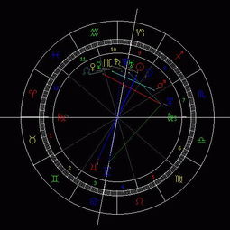 12月27日是什么星座：12月27日是什么星座？摩羯座性格解析与运势指南