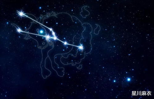 8月18日是什么星座:8月18日是什么星座?处女座与天秤座的能量碰撞解析 8月18日是什么星座:8月18日是什么星座?处女座与天秤座的能量碰撞解析