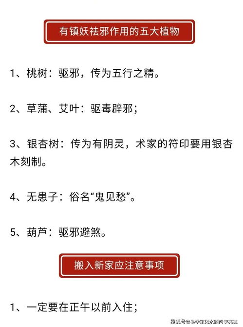 手指掐算公式图:手指掐算公式图,古老智慧与现代数学的奇妙融合 手指掐算公式图:手指掐算公式图,古老智慧与现代数学的奇妙融合