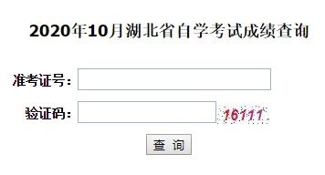 2025年自考成绩查询时间（湖北省2025年自考成绩查询时间）