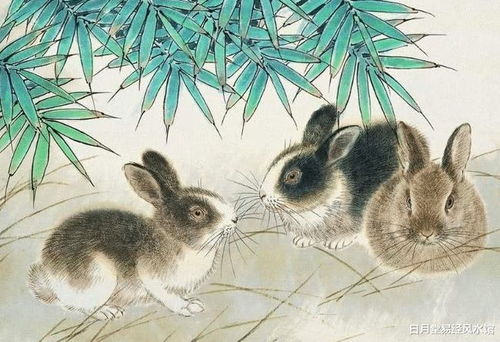 属兔男姻缘在哪里好:属兔男2025年姻缘方位指南,桃花在东方,姻缘在南方 属兔男姻缘在哪里好:属兔男2025年姻缘方位指南,桃花在东方,姻缘在南方