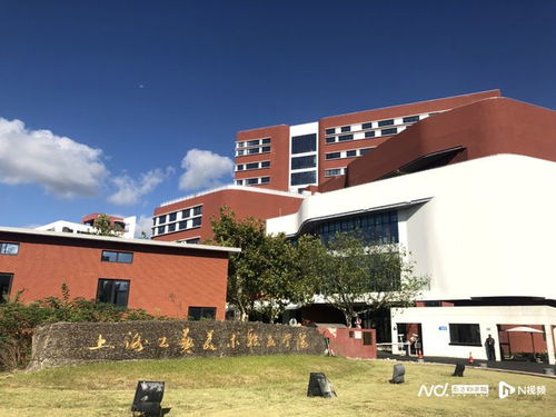 上海工艺美术职业学院（上海工艺美术职业学院学费）