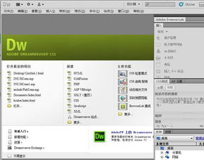 显示滚动条css:CSS滚动条样式定制指南 显示滚动条css:CSS滚动条样式定制指南