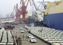 电影《铁血战士:杀戮之地》票房破5000万元