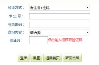 中考录取通知书查询入口（中考录取通知书查询入口湖北）