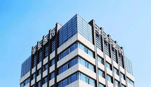 华东医药总部在哪里:揭秘华东医药总部究竟在哪里? 华东医药总部在哪里:揭秘华东医药总部究竟在哪里?