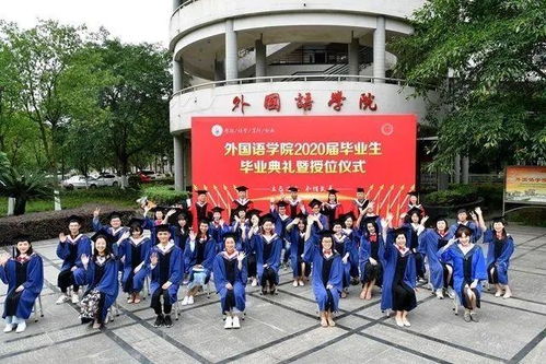 西南科技大学官网（西南科技大学官网研究生招生网）