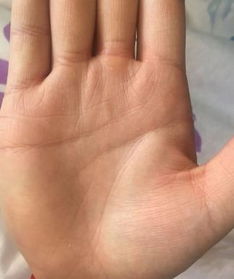 一生劳碌命的女人手相:从手相看女性一生劳碌命,劳碌是福还是劫?手相特征与化解之道 一生劳碌命的女人手相:从手相看女性一生劳碌命,劳碌是福还是劫?手相特征与化解之道