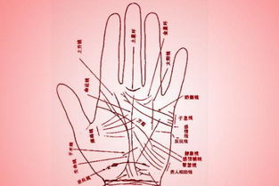 女人的手纹看姻缘准吗:手相中的姻缘密码,女人手纹看姻缘的真相与误区 女人的手纹看姻缘准吗:手相中的姻缘密码,女人手纹看姻缘的真相与误区
