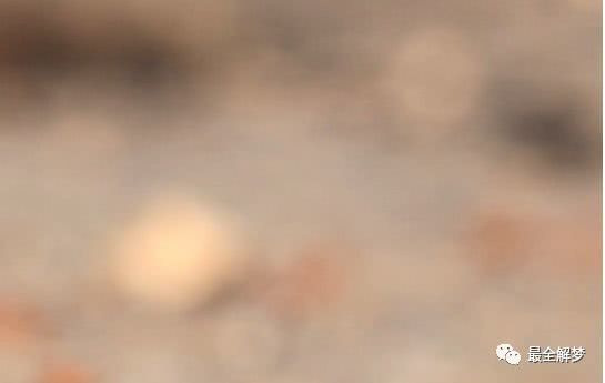 梦见蚂蚁是什么意思:解密梦境,梦见蚂蚁是什么意思? 梦见蚂蚁是什么意思:解密梦境,梦见蚂蚁是什么意思?