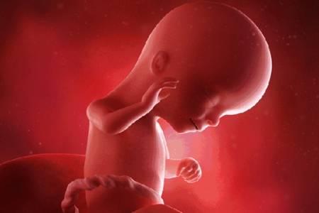 梦见别人怀孕：梦境中的生命奇迹，解析梦见他人怀孕的深层含义与生活启示