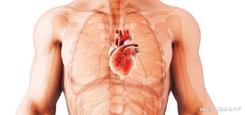 肺部感染最怕三个征兆：肺部感染最怕三个征兆，出现一个就要警惕！