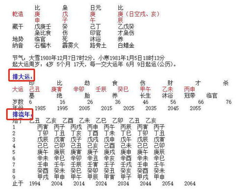 八字流年详批免费：免费八字流年详批，精准解析运势吉凶，助您把握人生关键节点