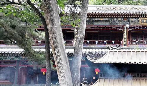 益阳求姻缘的寺庙在哪里：益阳求姻缘的寺庙指南，探寻当地灵验祈福之地