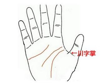 男人的左手的手相图解：男人左手手相图解，从掌纹走向看性格命运，手心藏着你的人生密码