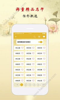 固定字起名网免费取名：固定字起名网免费取名，高效便捷的个性化命名解决方案