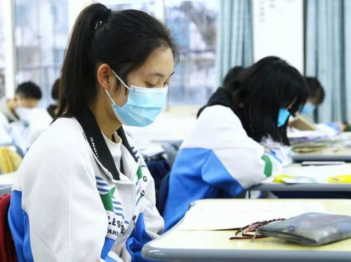 不参加中考可以上什么学校（不参加中考可以上哪些学校）