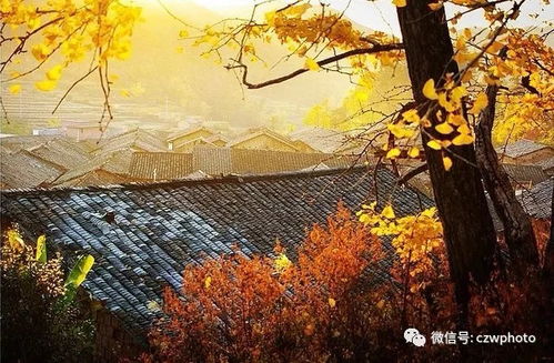 11月2日至4日：金秋充电季，11月2日至4日的生活美学三重奏