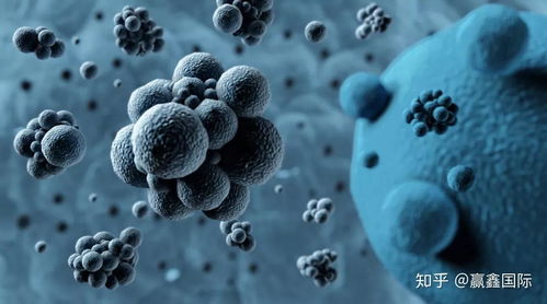 hpv病毒怎么才能彻底清除：HPV病毒如何彻底清除？这5种科学方法你必须知道！