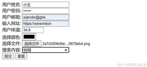 input标签有哪些类型：HTML input标签类型全解析，从基础到高级