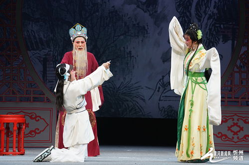 啼笑姻缘越剧方亚芬主演：方亚芬倾情演绎越剧经典啼笑姻缘