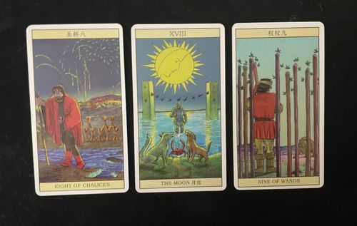 金牛座女5月塔罗牌观察：金牛座女5月塔罗牌观察，稳中求变，能量流动的启示