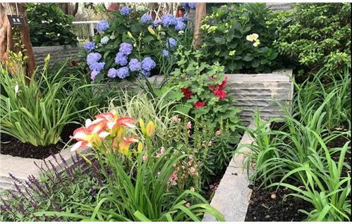 万年历2021年农历查询：2021年农历查询指南，工具使用、节日文化与实用技巧全解析