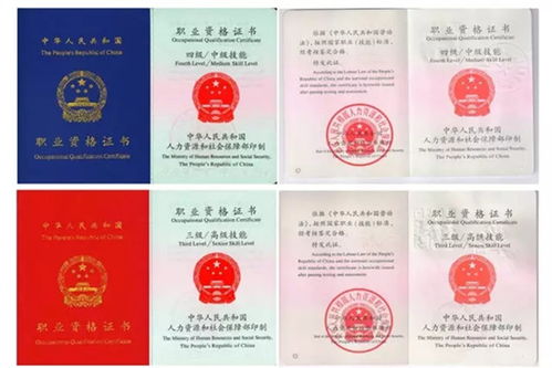 高考志愿填报咨询师（高考志愿填报咨询师证书含金量高吗）