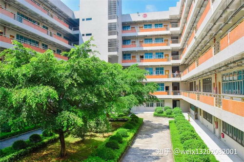 广州职业技术大学2025招生吗（广州职业学校2021招生大专）