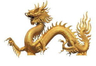 属龙十月塔罗牌预测财运：属龙人十月塔罗牌财运预测，神秘指引，财富机遇与风险警示