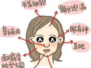 易经中有福的女人面相：易经智慧，识读女性福相的五行密码—论有福之相的十二处吉兆