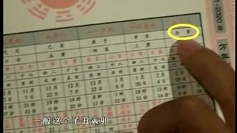 生辰八字名字测试免费查询：生辰八字名字测试免费查询，一键解锁姓名能量密码，助你把握人生运势