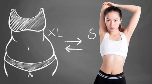 青岛减肥训练营哪个好：青岛减肥训练营对比，哪家更适合你的瘦身需求？